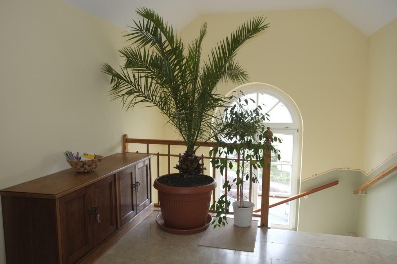 Gaestewohnung Elstroem Δρέσδη Εξωτερικό φωτογραφία